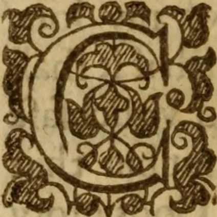 An illustration from An excellent and best approoued treatise of the plague : containing, the nature, signes, and accidents of the same : with the certaine and absolute cure of the feuers, botches, and carbuncles, that raigne in these times : and aboue all things, most singular experiments in the same : gathered by the obseruations of diuers worthy travilers, and selected out of the best learned physitions in this age : likewise is taught, the true and perfect cure of the plague, with secret and vnknowne preseruatiues against all infection : and how so withstand the most dangerous accidents, which may happen this fearefull contagious time : generall rules of life to be obserued by all men this plague time : directions for the commons, country-men and strangers that is necessitated to come into the city : a discovery of what bodies are most apt and soonest to be infected : the signes that signifie a person to be infected with the pestilence, and how to preuent insuing danger lastly, most approoued aduertisments to preserue such as be in health, from the infection, and to prevent the contagious ayre, 1625, leaf 11
