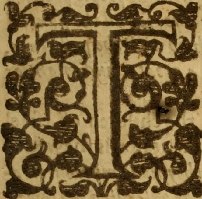 An illustration from An excellent and best approoued treatise of the plague : containing, the nature, signes, and accidents of the same : with the certaine and absolute cure of the feuers, botches, and carbuncles, that raigne in these times : and aboue all things, most singular experiments in the same : gathered by the obseruations of diuers worthy travilers, and selected out of the best learned physitions in this age : likewise is taught, the true and perfect cure of the plague, with secret and vnknowne preseruatiues against all infection : and how so withstand the most dangerous accidents, which may happen this fearefull contagious time : generall rules of life to be obserued by all men this plague time : directions for the commons, country-men and strangers that is necessitated to come into the city : a discovery of what bodies are most apt and soonest to be infected : the signes that signifie a person to be infected with the pestilence, and how to preuent insuing danger lastly, most approoued aduertisments to preserue such as be in health, from the infection, and to prevent the contagious ayre, 1625, leaf 14