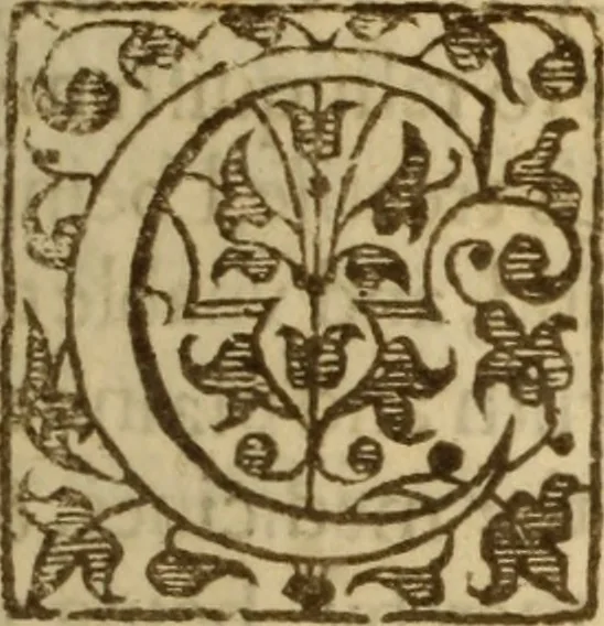 An illustration from An excellent and best approoued treatise of the plague : containing, the nature, signes, and accidents of the same : with the certaine and absolute cure of the feuers, botches, and carbuncles, that raigne in these times : and aboue all things, most singular experiments in the same : gathered by the obseruations of diuers worthy travilers, and selected out of the best learned physitions in this age : likewise is taught, the true and perfect cure of the plague, with secret and vnknowne preseruatiues against all infection : and how so withstand the most dangerous accidents, which may happen this fearefull contagious time : generall rules of life to be obserued by all men this plague time : directions for the commons, country-men and strangers that is necessitated to come into the city : a discovery of what bodies are most apt and soonest to be infected : the signes that signifie a person to be infected with the pestilence, and how to preuent insuing danger lastly, most approoued aduertisments to preserue such as be in health, from the infection, and to prevent the contagious ayre, 1625, leaf 8