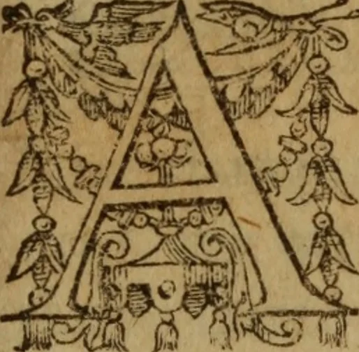 An illustration from Excellent traicte de la peste : monstrant les causes et signes d'icelle, et les remedes les plus exquis tant pour la preseruation que pour la cure des malades, le tout bien approuué, & en diuers lieux heureusement experimenté, 1583, leaf 102