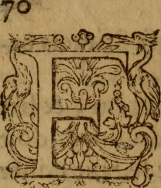 An illustration from Excellent traicte de la peste : monstrant les causes et signes d'icelle, et les remedes les plus exquis tant pour la preseruation que pour la cure des malades, le tout bien approuué, & en diuers lieux heureusement experimenté, 1583, leaf 109
