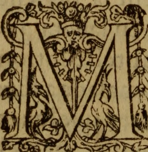 An illustration from Excellent traicte de la peste : monstrant les causes et signes d'icelle, et les remedes les plus exquis tant pour la preseruation que pour la cure des malades, le tout bien approuué, & en diuers lieux heureusement experimenté, 1583, leaf 121