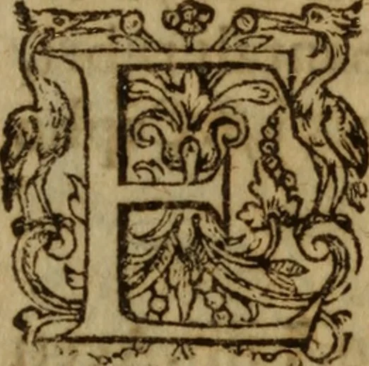 An illustration from Excellent traicte de la peste : monstrant les causes et signes d'icelle, et les remedes les plus exquis tant pour la preseruation que pour la cure des malades, le tout bien approuué, & en diuers lieux heureusement experimenté, 1583, leaf 132