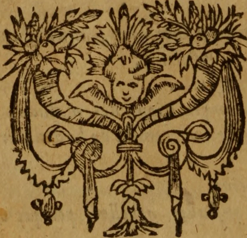 An illustration from Excellent traicte de la peste : monstrant les causes et signes d'icelle, et les remedes les plus exquis tant pour la preseruation que pour la cure des malades, le tout bien approuué, & en diuers lieux heureusement experimenté, 1583, leaf 15
