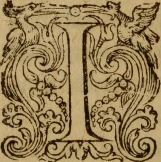 An illustration from Excellent traicte de la peste : monstrant les causes et signes d'icelle, et les remedes les plus exquis tant pour la preseruation que pour la cure des malades, le tout bien approuué, & en diuers lieux heureusement experimenté, 1583, leaf 151
