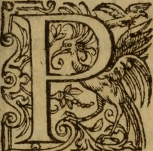 An illustration from Excellent traicte de la peste : monstrant les causes et signes d'icelle, et les remedes les plus exquis tant pour la preseruation que pour la cure des malades, le tout bien approuué, & en diuers lieux heureusement experimenté, 1583, leaf 158