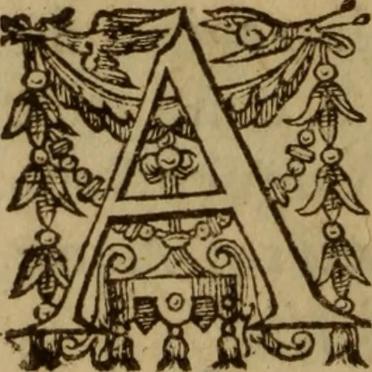 An illustration from Excellent traicte de la peste : monstrant les causes et signes d'icelle, et les remedes les plus exquis tant pour la preseruation que pour la cure des malades, le tout bien approuué, & en diuers lieux heureusement experimenté, 1583, leaf 159