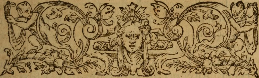 An illustration from Excellent traicte de la peste : monstrant les causes et signes d'icelle, et les remedes les plus exquis tant pour la preseruation que pour la cure des malades, le tout bien approuué, & en diuers lieux heureusement experimenté, 1583, leaf 16