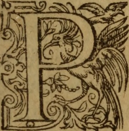 An illustration from Excellent traicte de la peste : monstrant les causes et signes d'icelle, et les remedes les plus exquis tant pour la preseruation que pour la cure des malades, le tout bien approuué, & en diuers lieux heureusement experimenté, 1583, leaf 16