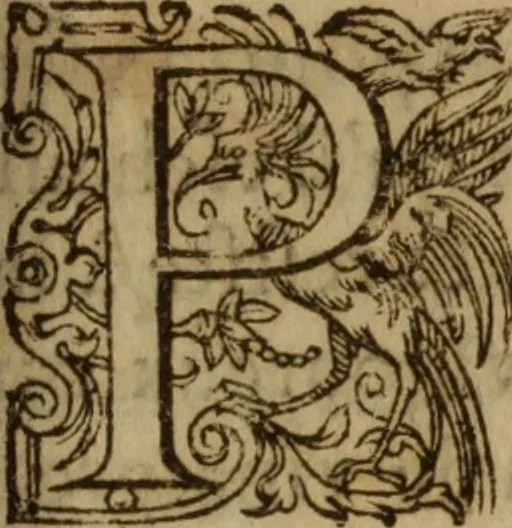 An illustration from Excellent traicte de la peste : monstrant les causes et signes d'icelle, et les remedes les plus exquis tant pour la preseruation que pour la cure des malades, le tout bien approuué, & en diuers lieux heureusement experimenté, 1583, leaf 162