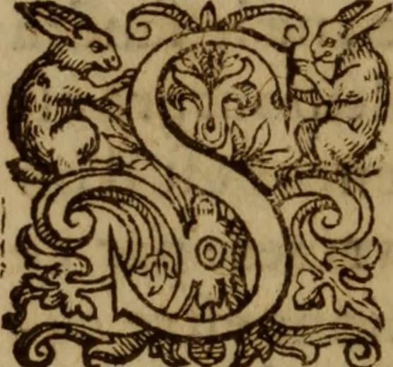 An illustration from Excellent traicte de la peste : monstrant les causes et signes d'icelle, et les remedes les plus exquis tant pour la preseruation que pour la cure des malades, le tout bien approuué, & en diuers lieux heureusement experimenté, 1583, leaf 165