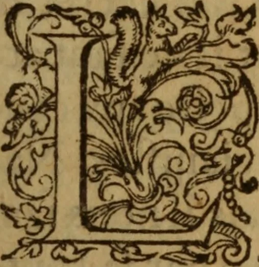 An illustration from Excellent traicte de la peste : monstrant les causes et signes d'icelle, et les remedes les plus exquis tant pour la preseruation que pour la cure des malades, le tout bien approuué, & en diuers lieux heureusement experimenté, 1583, leaf 18