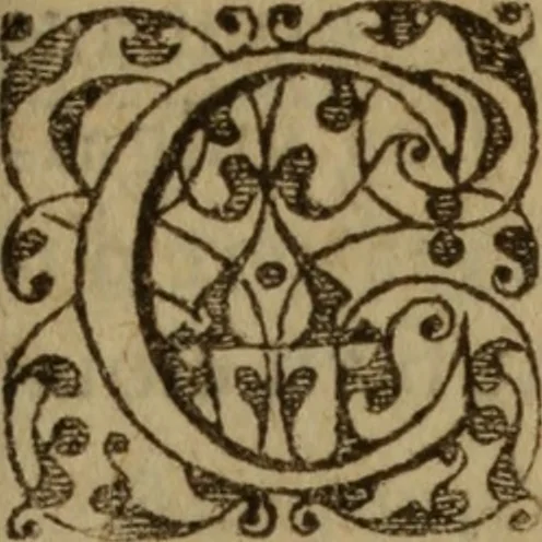 An illustration from Excellent traicte de la peste : monstrant les causes et signes d'icelle, et les remedes les plus exquis tant pour la preseruation que pour la cure des malades, le tout bien approuué, & en diuers lieux heureusement experimenté, 1583, leaf 180