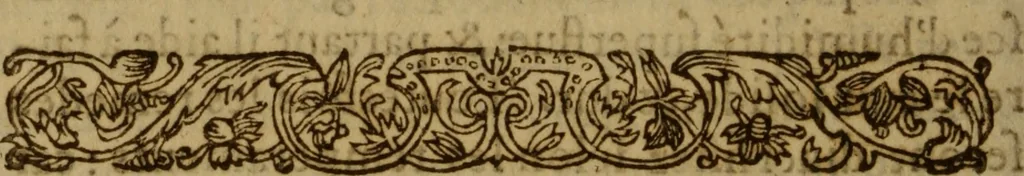 An illustration from Excellent traicte de la peste : monstrant les causes et signes d'icelle, et les remedes les plus exquis tant pour la preseruation que pour la cure des malades, le tout bien approuué, & en diuers lieux heureusement experimenté, 1583, leaf 193