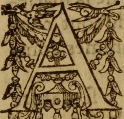 An illustration from Excellent traicte de la peste : monstrant les causes et signes d'icelle, et les remedes les plus exquis tant pour la preseruation que pour la cure des malades, le tout bien approuué, & en diuers lieux heureusement experimenté, 1583, leaf 195