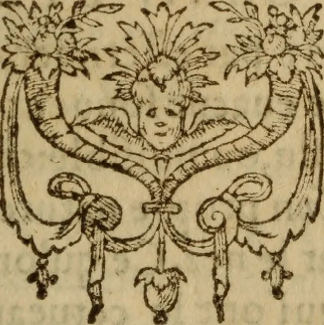 An illustration from Excellent traicte de la peste : monstrant les causes et signes d'icelle, et les remedes les plus exquis tant pour la preseruation que pour la cure des malades, le tout bien approuué, & en diuers lieux heureusement experimenté, 1583, leaf 196