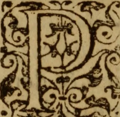 An illustration from Excellent traicte de la peste : monstrant les causes et signes d'icelle, et les remedes les plus exquis tant pour la preseruation que pour la cure des malades, le tout bien approuué, & en diuers lieux heureusement experimenté, 1583, leaf 197