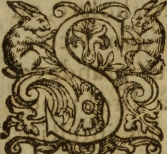 An illustration from Excellent traicte de la peste : monstrant les causes et signes d'icelle, et les remedes les plus exquis tant pour la preseruation que pour la cure des malades, le tout bien approuué, & en diuers lieux heureusement experimenté, 1583, leaf 204
