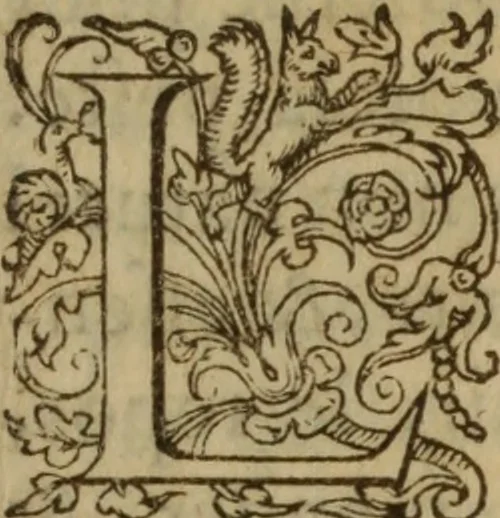 An illustration from Excellent traicte de la peste : monstrant les causes et signes d'icelle, et les remedes les plus exquis tant pour la preseruation que pour la cure des malades, le tout bien approuué, & en diuers lieux heureusement experimenté, 1583, leaf 214