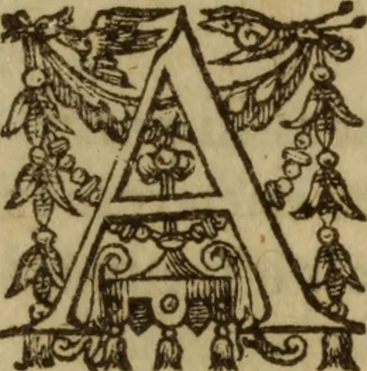 An illustration from Excellent traicte de la peste : monstrant les causes et signes d'icelle, et les remedes les plus exquis tant pour la preseruation que pour la cure des malades, le tout bien approuué, & en diuers lieux heureusement experimenté, 1583, leaf 220