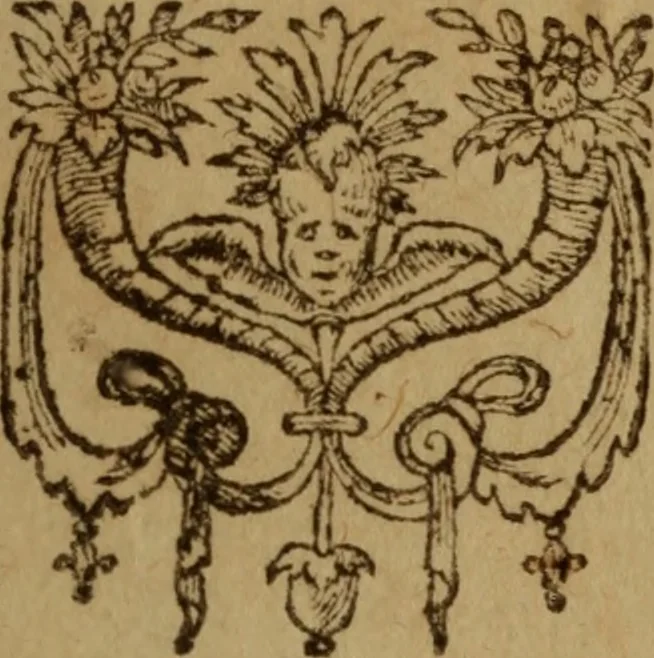 An illustration from Excellent traicte de la peste : monstrant les causes et signes d'icelle, et les remedes les plus exquis tant pour la preseruation que pour la cure des malades, le tout bien approuué, & en diuers lieux heureusement experimenté, 1583, leaf 230