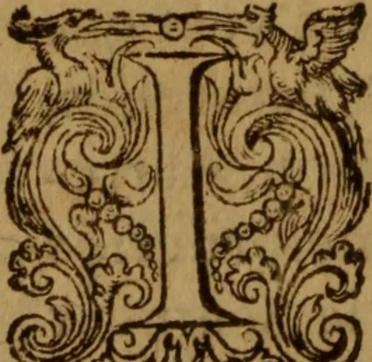 An illustration from Excellent traicte de la peste : monstrant les causes et signes d'icelle, et les remedes les plus exquis tant pour la preseruation que pour la cure des malades, le tout bien approuué, & en diuers lieux heureusement experimenté, 1583, leaf 25