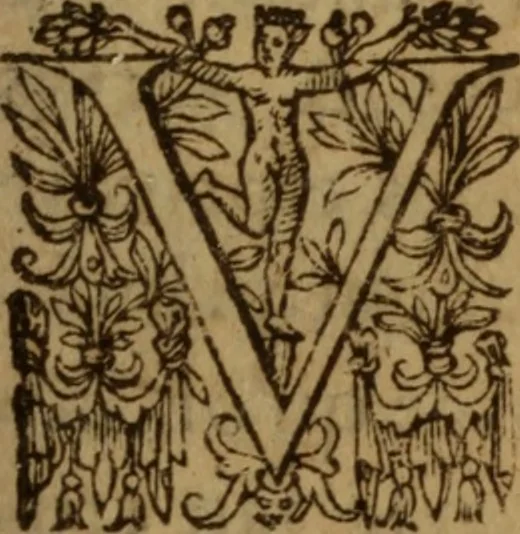 An illustration from Excellent traicte de la peste : monstrant les causes et signes d'icelle, et les remedes les plus exquis tant pour la preseruation que pour la cure des malades, le tout bien approuué, & en diuers lieux heureusement experimenté, 1583, leaf 46