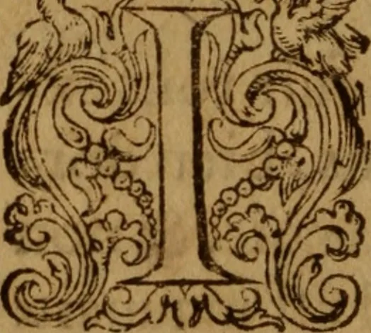 An illustration from Excellent traicte de la peste : monstrant les causes et signes d'icelle, et les remedes les plus exquis tant pour la preseruation que pour la cure des malades, le tout bien approuué, & en diuers lieux heureusement experimenté, 1583, leaf 47