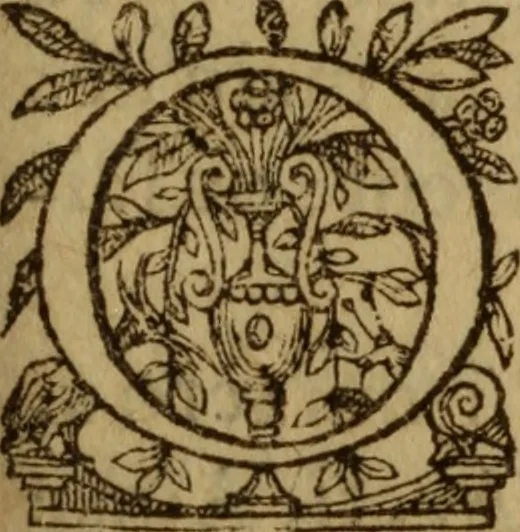 An illustration from Excellent traicte de la peste : monstrant les causes et signes d'icelle, et les remedes les plus exquis tant pour la preseruation que pour la cure des malades, le tout bien approuué, & en diuers lieux heureusement experimenté, 1583, leaf 68