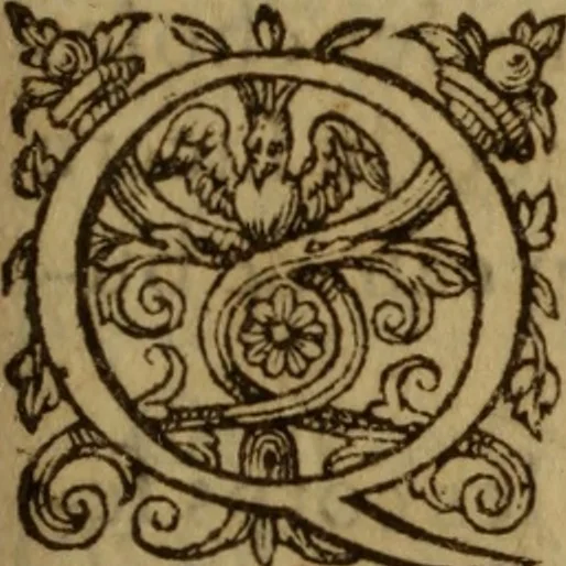 An illustration from Excellent traicte de la peste : monstrant les causes et signes d'icelle, et les remedes les plus exquis tant pour la preseruation que pour la cure des malades, le tout bien approuué, & en diuers lieux heureusement experimenté, 1583, leaf 72
