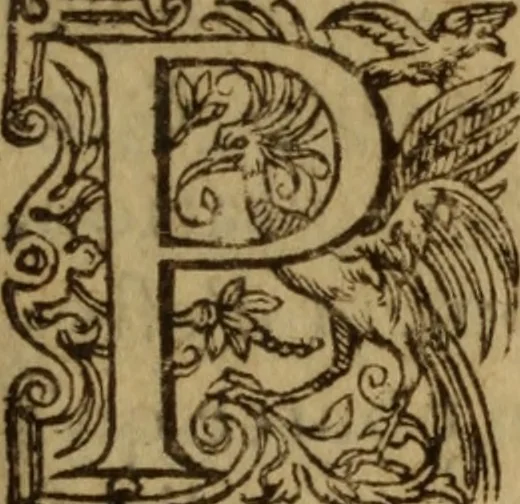 An illustration from Excellent traicte de la peste : monstrant les causes et signes d'icelle, et les remedes les plus exquis tant pour la preseruation que pour la cure des malades, le tout bien approuué, & en diuers lieux heureusement experimenté, 1583, leaf 76