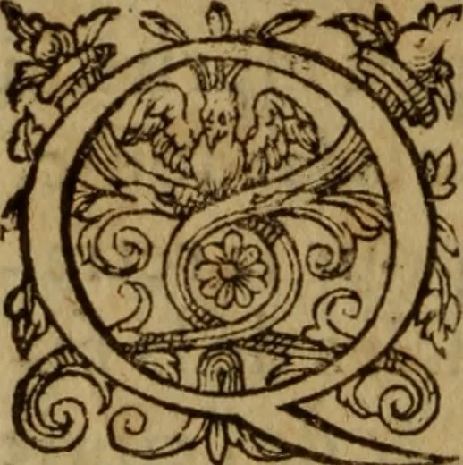 An illustration from Excellent traicte de la peste : monstrant les causes et signes d'icelle, et les remedes les plus exquis tant pour la preseruation que pour la cure des malades, le tout bien approuué, & en diuers lieux heureusement experimenté, 1583, leaf 85