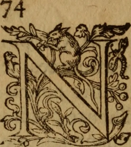 An illustration from Excellent traicte de la peste : monstrant les causes et signes d'icelle, et les remedes les plus exquis tant pour la preseruation que pour la cure des malades, le tout bien approuué, & en diuers lieux heureusement experimenté, 1583, leaf 89