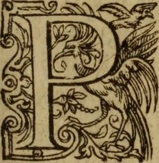 An illustration from Excellent traicte de la peste : monstrant les causes et signes d'icelle, et les remedes les plus exquis tant pour la preseruation que pour la cure des malades, le tout bien approuué, & en diuers lieux heureusement experimenté, 1583, leaf 92