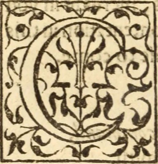 An illustration from A very excellent and learned discourse touching the tranquilitie and contentation of the minde : conteining sundry notable instructions and firme consolations most necessarie for all sortes of afflicted persons in these latter dayes, 1592, leaf 17