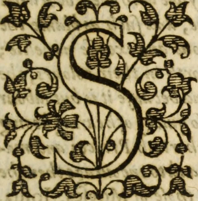 An illustration from A very excellent and learned discourse touching the tranquilitie and contentation of the minde : conteining sundry notable instructions and firme consolations most necessarie for all sortes of afflicted persons in these latter dayes, 1592, leaf 188