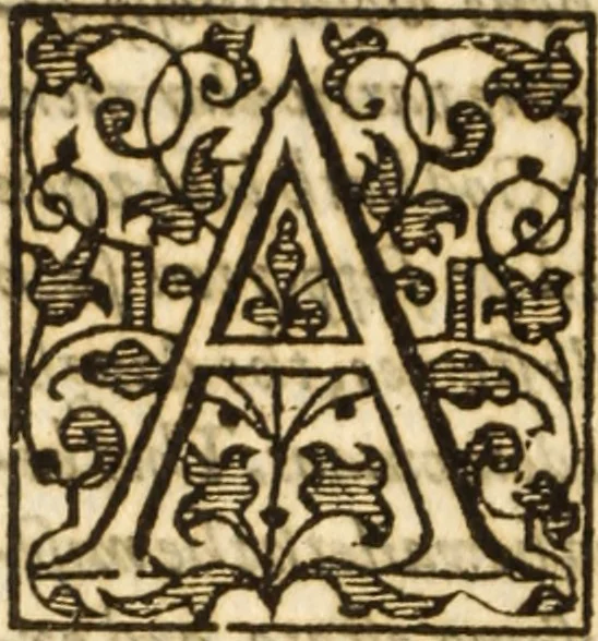 An illustration from A very excellent and learned discourse touching the tranquilitie and contentation of the minde : conteining sundry notable instructions and firme consolations most necessarie for all sortes of afflicted persons in these latter dayes, 1592, leaf 191