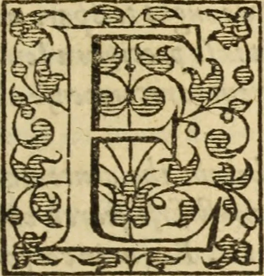 An illustration from A very excellent and learned discourse touching the tranquilitie and contentation of the minde : conteining sundry notable instructions and firme consolations most necessarie for all sortes of afflicted persons in these latter dayes, 1592, leaf 24