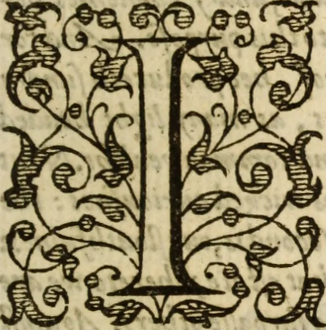 An illustration from A very excellent and learned discourse touching the tranquilitie and contentation of the minde : conteining sundry notable instructions and firme consolations most necessarie for all sortes of afflicted persons in these latter dayes, 1592, leaf 266