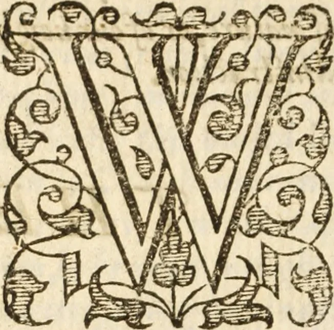 An illustration from A very excellent and learned discourse touching the tranquilitie and contentation of the minde : conteining sundry notable instructions and firme consolations most necessarie for all sortes of afflicted persons in these latter dayes, 1592, leaf 269