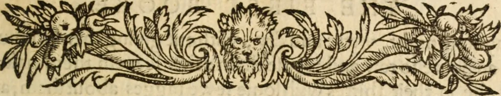 An illustration from A very excellent and learned discourse touching the tranquilitie and contentation of the minde : conteining sundry notable instructions and firme consolations most necessarie for all sortes of afflicted persons in these latter dayes, 1592, leaf 30
