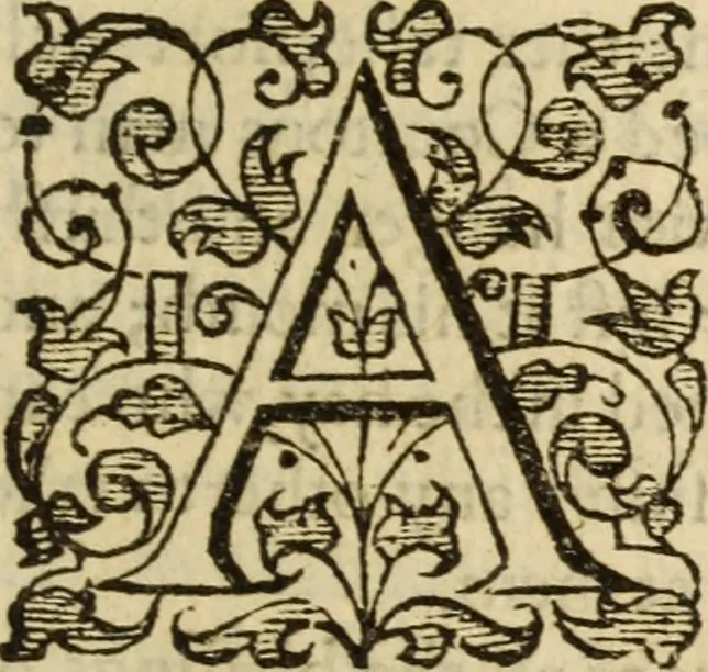 An illustration from A very excellent and learned discourse touching the tranquilitie and contentation of the minde : conteining sundry notable instructions and firme consolations most necessarie for all sortes of afflicted persons in these latter dayes, 1592, leaf 30