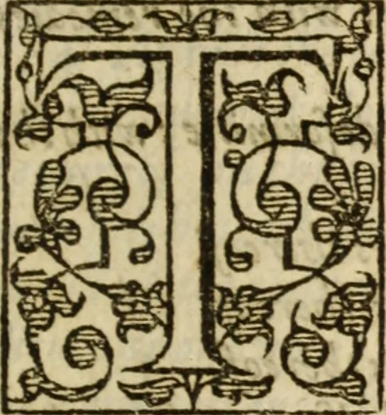 An illustration from A very excellent and learned discourse touching the tranquilitie and contentation of the minde : conteining sundry notable instructions and firme consolations most necessarie for all sortes of afflicted persons in these latter dayes, 1592, leaf 304