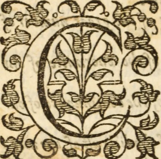 An illustration from A very excellent and learned discourse touching the tranquilitie and contentation of the minde : conteining sundry notable instructions and firme consolations most necessarie for all sortes of afflicted persons in these latter dayes, 1592, leaf 307