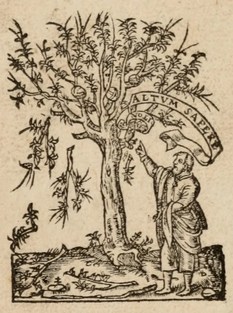 An illustration from Ex Ctesia, Agatharchide, Memnone excerptae historiae, 1557, leaf 3