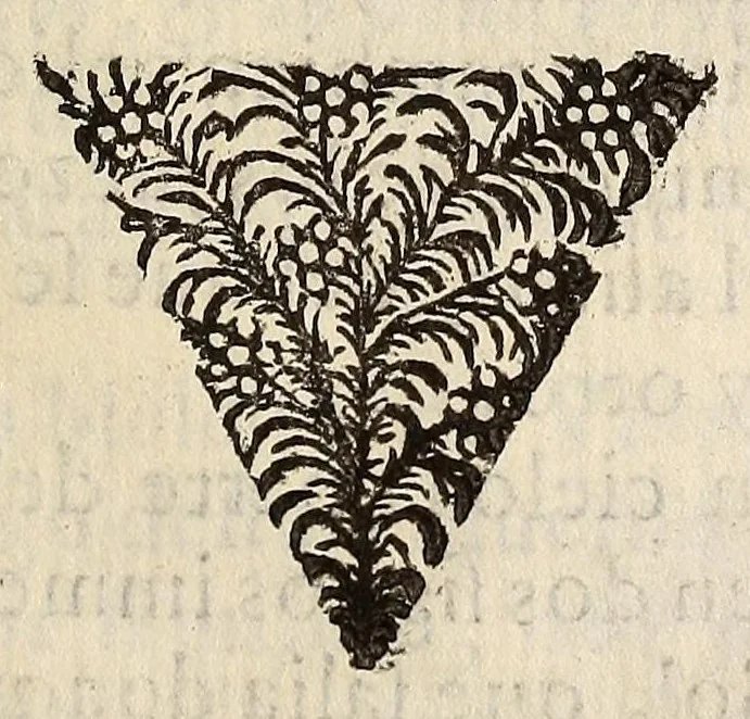An illustration from Exequias, tumulo y pompa funeral que la universidad de Salamanca hizo en las honras del Rey nuestro Señor Felipe III. en cinco de junio de mil y seyscientos y veynte y uno a Don Gaspar de Guzman, Conde de Oliuares, etc, 1621, leaf 169