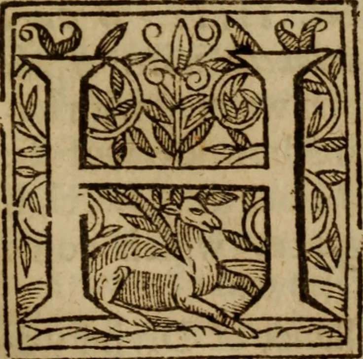 An illustration from Exercitations divine : Containing diverse questions and solutions for the right understanding of the Scriptures. Proving the necessitie, integritie, perspicuitie, and sense thereof. As also shewing the singular prerogatiques wherewith the Lord indued those whom he appointed to bee the pen-men of them. Together with the excellencie and use of divinitie above all humane sciences. All which are cleared out of the Hebrew, and Greeke, the two originall languages in which the Scriptures were first written, by comparing them with the Samaritane, Chaldie, and Syriack copies, and with the Greeke interpretors, and vulgar Latine translation, 1632, leaf 34