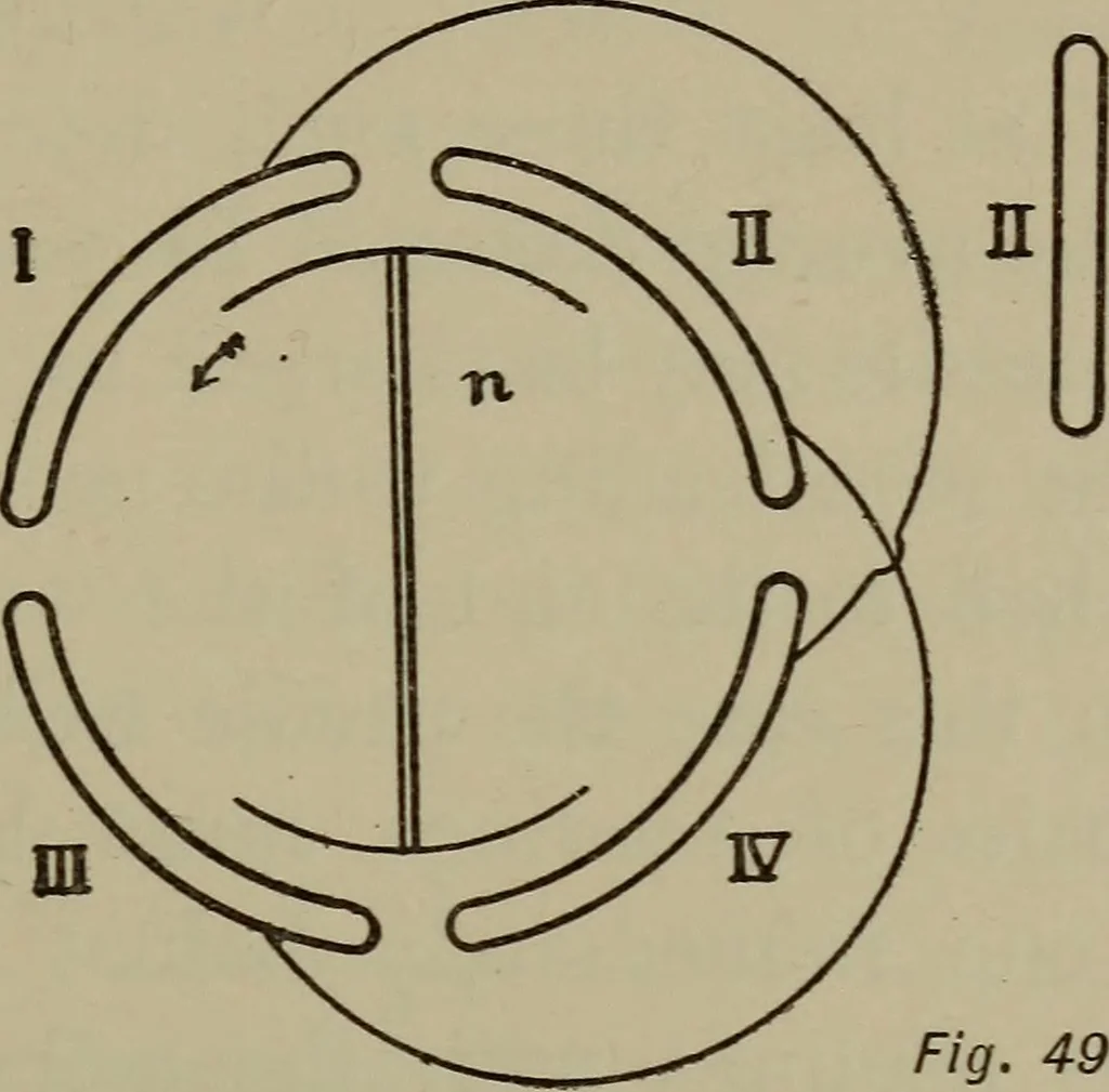 An illustration from Exercises in physical measurement, 1896, leaf 110