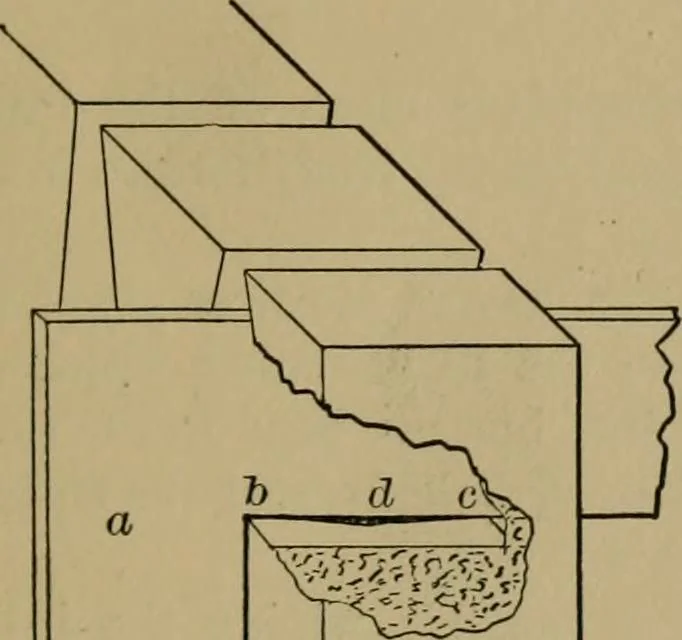 An illustration from Exercises in wood-working, with a short treatise on wood;, 1890, leaf 115