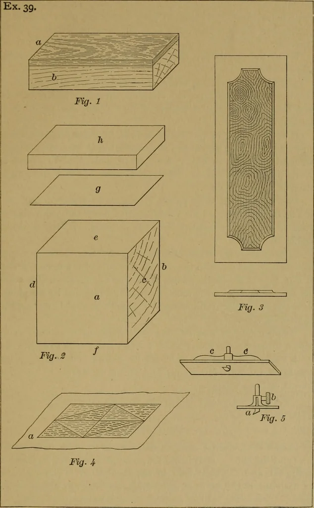 An illustration from Exercises in wood-working, with a short treatise on wood;, 1890, leaf 149